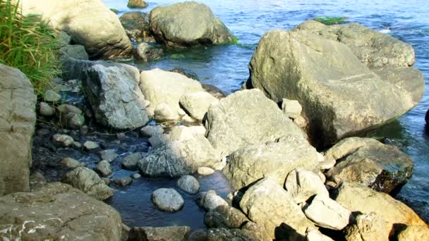 岩石间流动的水 — 图库视频影像