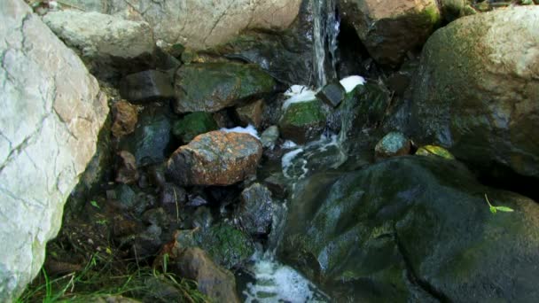 Acqua che scorre tra le rocce — Video Stock