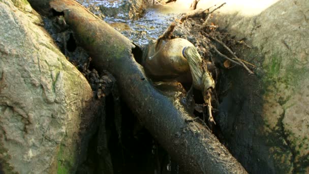 Wasser fließt zwischen Felsen — Stockvideo