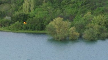 Ormanın yakınındaki göl