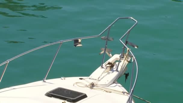 Лодка на воде — стоковое видео