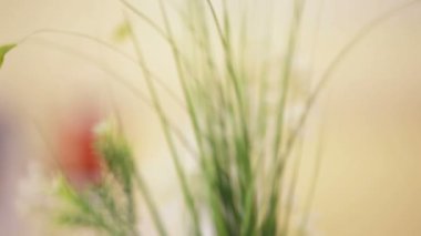 Vazodaki güzel beyaz çiçekler.