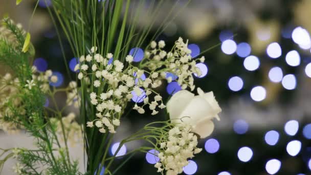Bílé květy zářivě pozadí. — Stock video