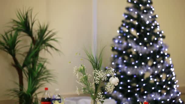 Árbol de Navidad brillante y otras decoraciones navideñas . — Vídeos de Stock