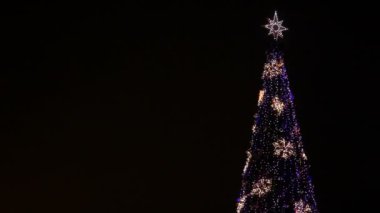büyük Noel ağacı karşı gece gökyüzünde pırıl pırıl.
