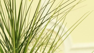 Vazodaki güzel beyaz çiçekler.