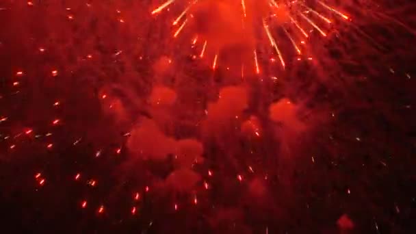 Fuochi d'artificio colorati. Fuochi d'artificio molto belli e colorati nel cielo notturno . — Video Stock