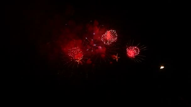 Colorful fireworks. Very beautiful and colorful fireworks in the night sky. — Stock Video