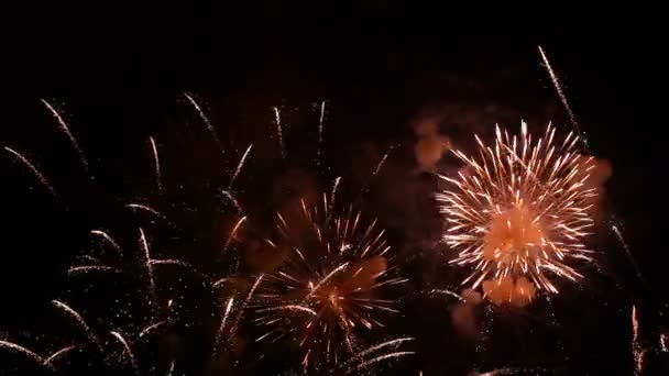 Buntes Feuerwerk. sehr schönes und farbenfrohes Feuerwerk am Nachthimmel. — Stockvideo