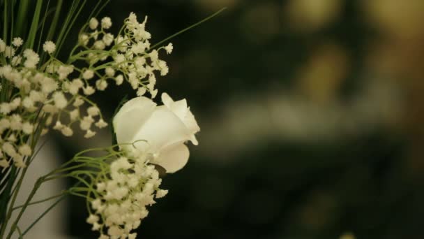 Fiori bianchi su uno sfondo scintillante . — Video Stock