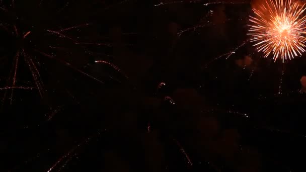 Belos fogos de artifício acendendo o céu no dia 4 de julho . — Vídeo de Stock