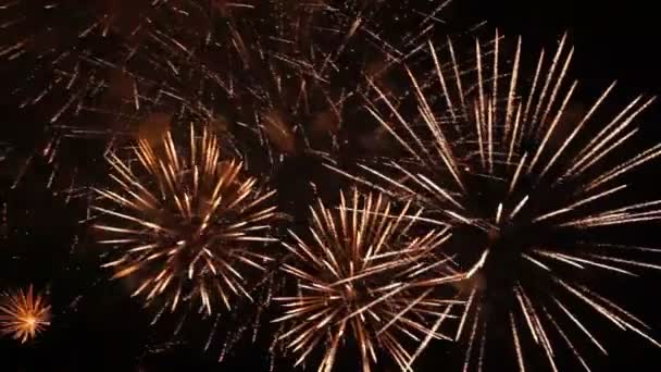 Beaux feux d'artifice allumant le ciel le 4 juillet .