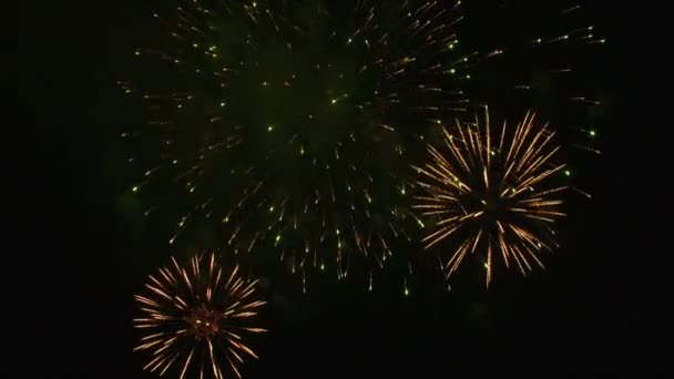 Piękne fajerwerki zapalanie na niebie czwartego lipca. — Wideo stockowe