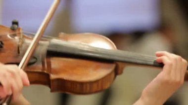 genç kadın bir orkestrada keman çalıyor.