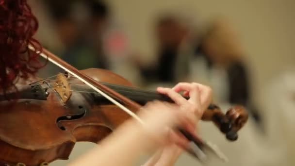 オーケストラでバイオリンを演奏若い女性. — ストック動画