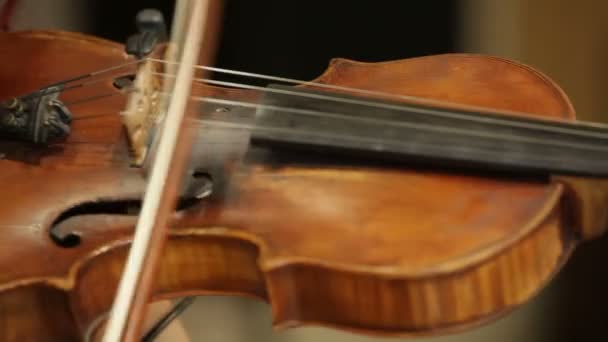 Junge Frau spielt Geige im Orchester. — Stockvideo