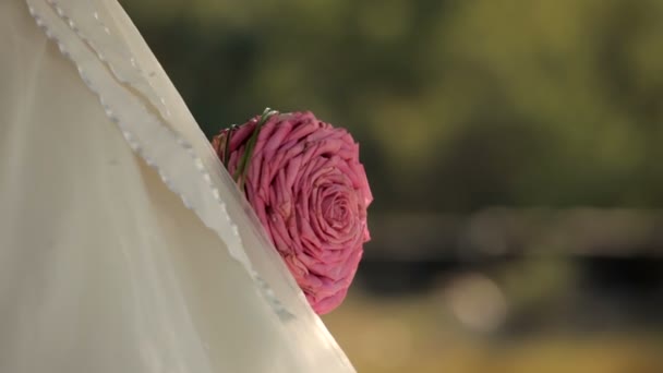 Sposa con bouquet — Video Stock