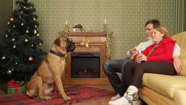 Un par de asientos en un sofá y un perro tendido cerca de una chimenea en las vacaciones de invierno. Una pareja y un perro . — Vídeos de Stock