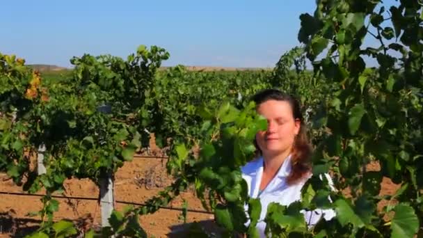 Dziewczyny w biały płaszcz sprawdza jakość winogron — Wideo stockowe
