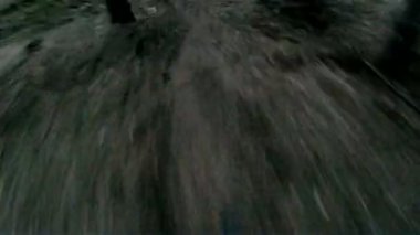 güneşli bir günde bir orman yoluyla Bisiklete binme kişi