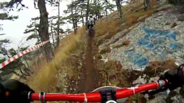 Ormanda bisiklet yarışı. — Stok video