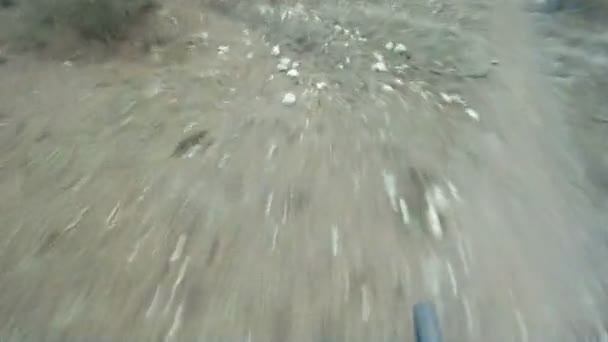 Personne faisant du vélo dans une forêt .