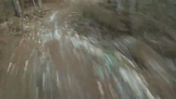 Aflopend op een fiets door een bos. — Stockvideo