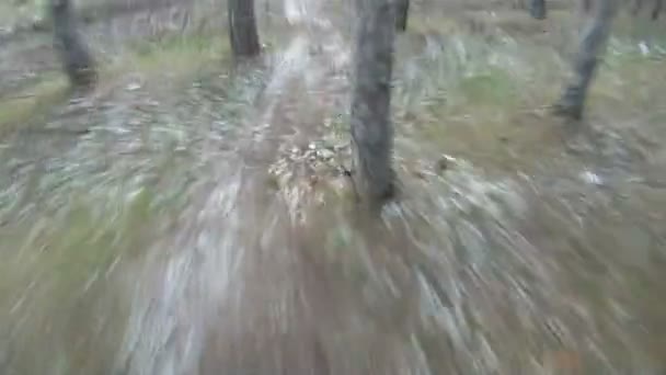 In bicicletta attraverso la foresta in una giornata invernale . — Video Stock