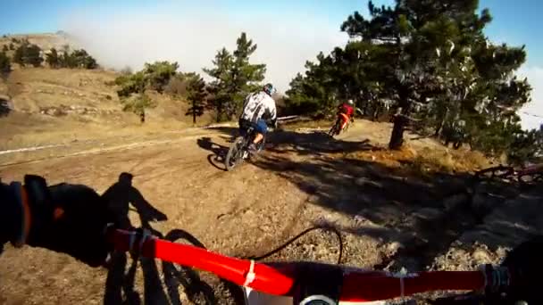 Competição de ciclismo em uma floresta . — Vídeo de Stock