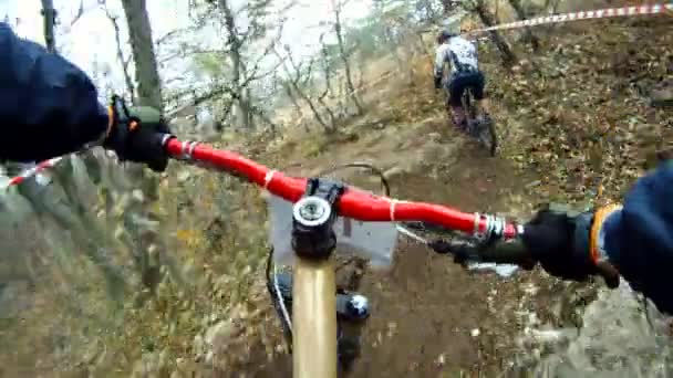 Corrida de ciclismo em uma floresta . — Vídeo de Stock