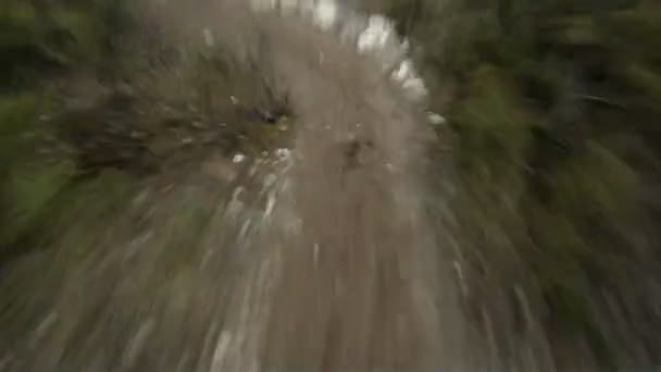 Person som rider en cykel i en skog. — Stockvideo