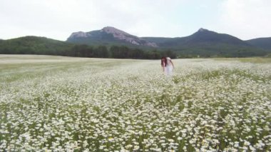 o papatyalar içinde yürür. Papatya alan dağlık arazi arka plan üzerine yürürken beyaz elbiseli güzel kız.