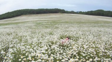 alan papatya kız. güzel bir genç kız güzel papatya alan üzerinde yalan.