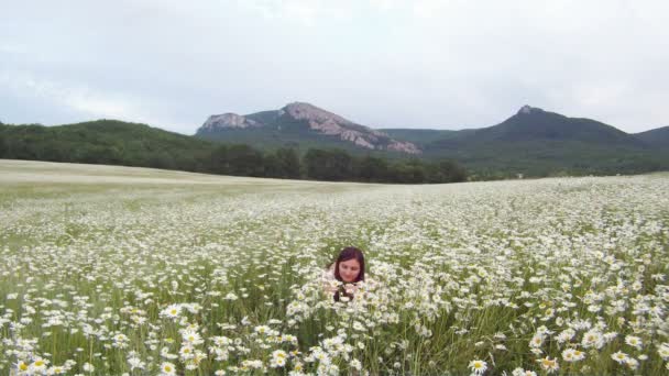 Chica en el campo de manzanilla. Una hermosa joven acostada en un hermoso campo de manzanilla . — Vídeos de Stock