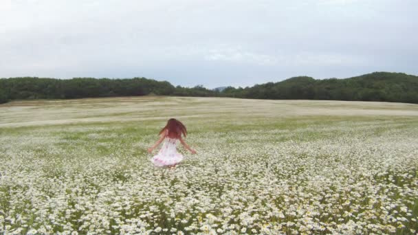 She walks in daisies. Beautiful girl in white dress walking on chamomile field on the background of mountainous terrain. — Stock Video