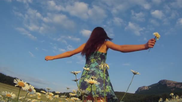 Menina bonita em vestido azul andando no campo de camomila no fundo do terreno montanhoso . — Vídeo de Stock