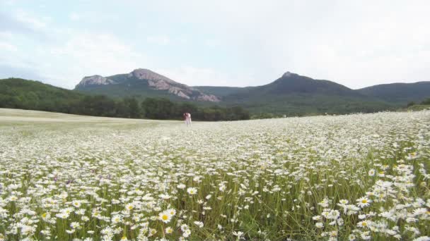 She walks across the field. Beautiful girl in white dress walking on chamomile field on the background of mountainous terrain. — Stock Video
