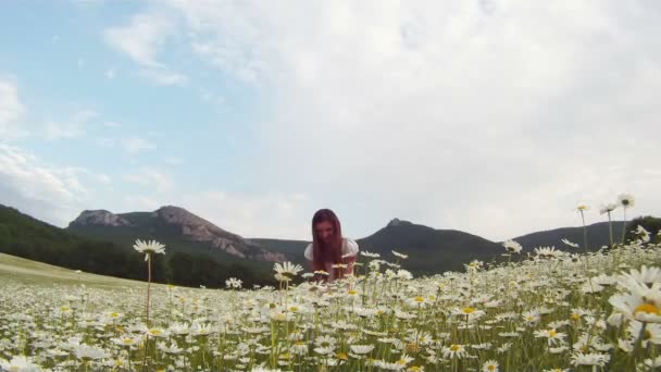 Ela anda em margaridas. Menina bonita em vestido branco andando no campo de camomila no fundo do terreno montanhoso . — Vídeo de Stock