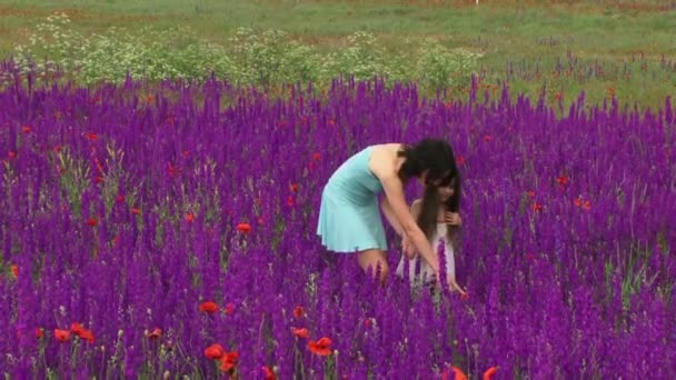 As meninas estão andando entre as flores. Uma mulher adulta e uma criança pequena andando pelo campo de belas flores . — Vídeo de Stock