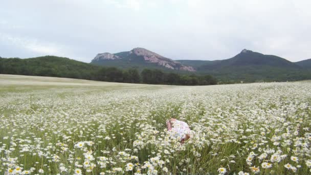 Menina no campo camomila. Uma bela jovem deitada em um belo campo de camomila . — Vídeo de Stock