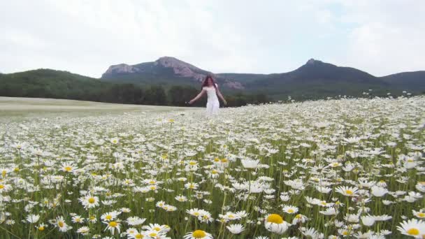 Ella camina en margaritas. Hermosa chica en vestido blanco caminando en el campo de manzanilla en el fondo del terreno montañoso . — Vídeos de Stock