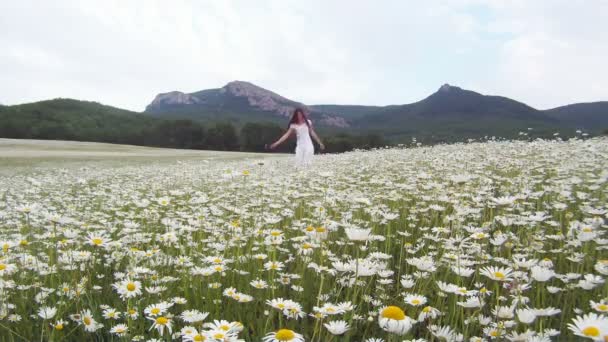 Ela anda em margaridas. Menina bonita em vestido branco andando no campo de camomila no fundo do terreno montanhoso . — Vídeo de Stock