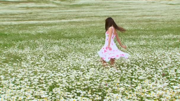 La chica gira en el campo. Una chica joven entretiene el hermoso campo de manzanilla . — Vídeos de Stock