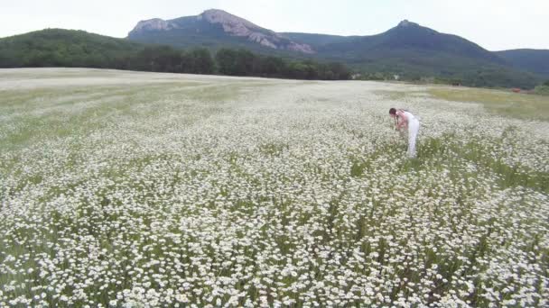 她走在雏菊。美丽的女孩在白色的礼服走上洋甘菊字段的山区地形背景. — 图库视频影像