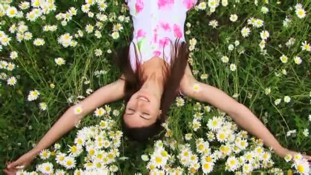 Girl falls on chamomile field. A beautiful young girl lies on a beautiful chamomile field. — Stock Video