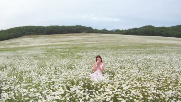 Menina bonita sentada no campo. Menina sentada em um belo campo de camomila . — Vídeo de Stock