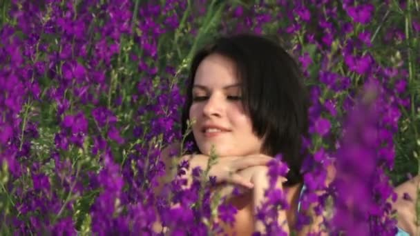 Mooi meisje op het gebied van lupine. sexy meisje zit op een mooi gebied van paarse bloemen en glimlacht. — Stockvideo