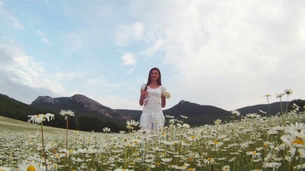 Papatya koklayan kız. Dağlık arazinin arka planında, papatya tarlasında yürüyen beyaz elbiseli güzel bir kız. Bir papatya kokluyor.. — Stok video