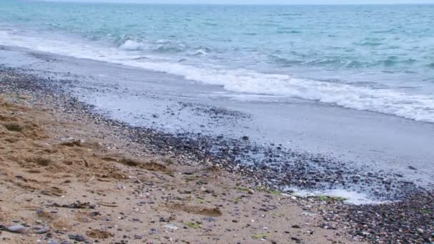 Onde marine. Belle onde oceaniche rotolate a riva — Video Stock