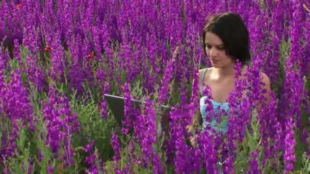 Técnicas informáticas sobre a natureza. Uma bela jovem está entre as flores de lavanda e está trabalhando em um laptop . — Vídeo de Stock